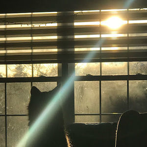 Meet your Posher, Charlene